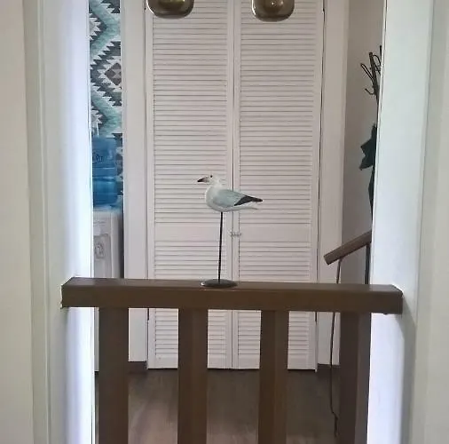 Laine * Narva-Jõesuu